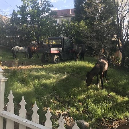 וירג'יניה סיטי B Street House Inn מראה חיצוני תמונה